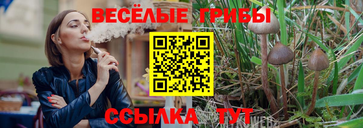 Галлюциногенные грибы MAGIC MUSHROOMS Богданович